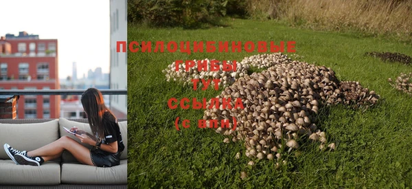 СК Беломорск