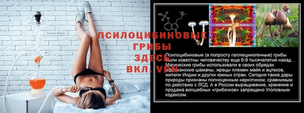 СК Беломорск