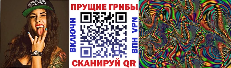 Псилоцибиновые грибы Cubensis купить Вяземский